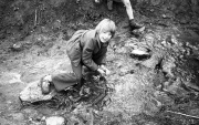 David in the stream