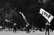 Belgian flag wavers
