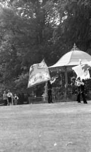 Belgian flag wavers