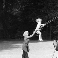 Swings