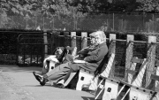 Spectators