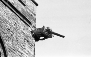 Gargoyle