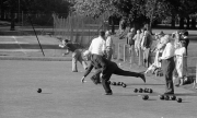 Bowls