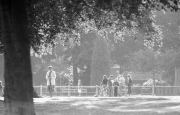 Across the park