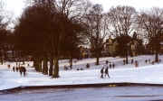 Tobogganing