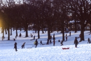 Tobogganing