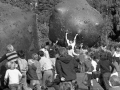 Giant inflatable rocks