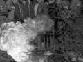 Fire eaters