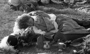 Asleep, with tankards