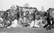 Crowd