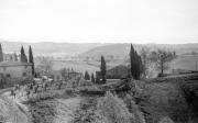 View from the coach