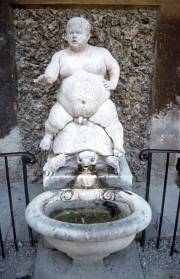 Bacchus on Tortoise