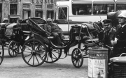 Fat Carrozza Driver
