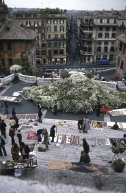 Spanish Steps from above