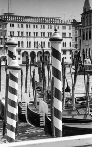 Grand Canal Paline (mooring poles)