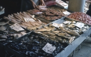 Rialto Markets - fish stall