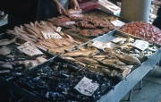 Rialto Markets - fish stall