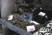 Rialto Markets - fish stall