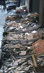 Rialto Markets - line of fish stalls