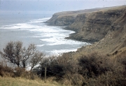 Cliffs near Whitby