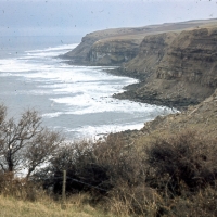 Cliffs near Whitby