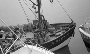 Fishing boat