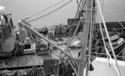 Fishing boat