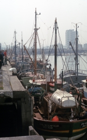 Fishing boats