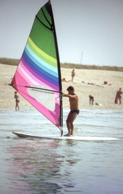 Colourful windsurfer