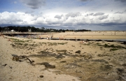 Letty at low tide