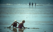 Small children digging