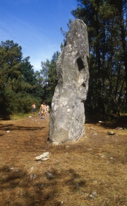 Menhir in the woods