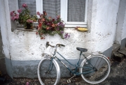 Cottage with flowers and bicycle