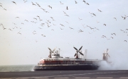 Incoming Hovercraft scattering the gulls