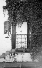 Mews Door with Ivy