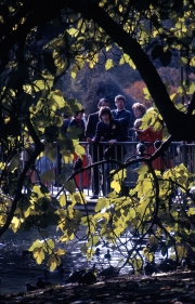 People on bridge
