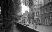 Mews
