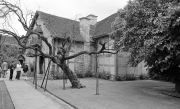 Shakespeare's Birthplace