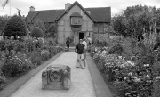 Shakespeare's Birthplace