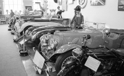 Vintage cars