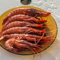 Giant prawns