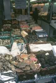 Rue Mouffetard shellfish stall