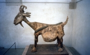 Picasso Musem - The Goat