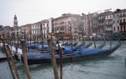 Gondolas on the Grand Canal