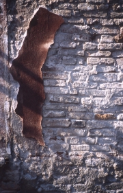 Decaying wall