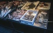 Rialto Market - Fish Stall