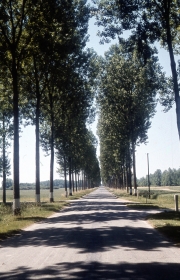 French Road
