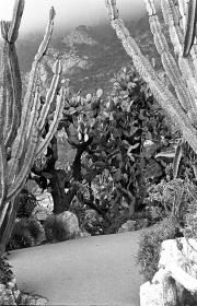 Jardin Exotique