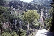 Gorges du Tarn