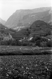 Alps